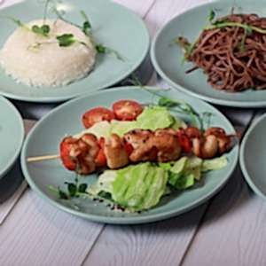 Куриный шашлычек 100гр с доставкой на дом Куриный шашлычек 100гр